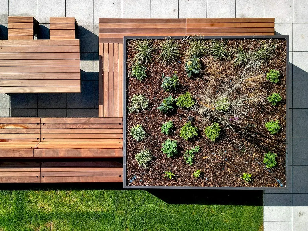 Overhead view of a square planted bed with timber seating along its edges